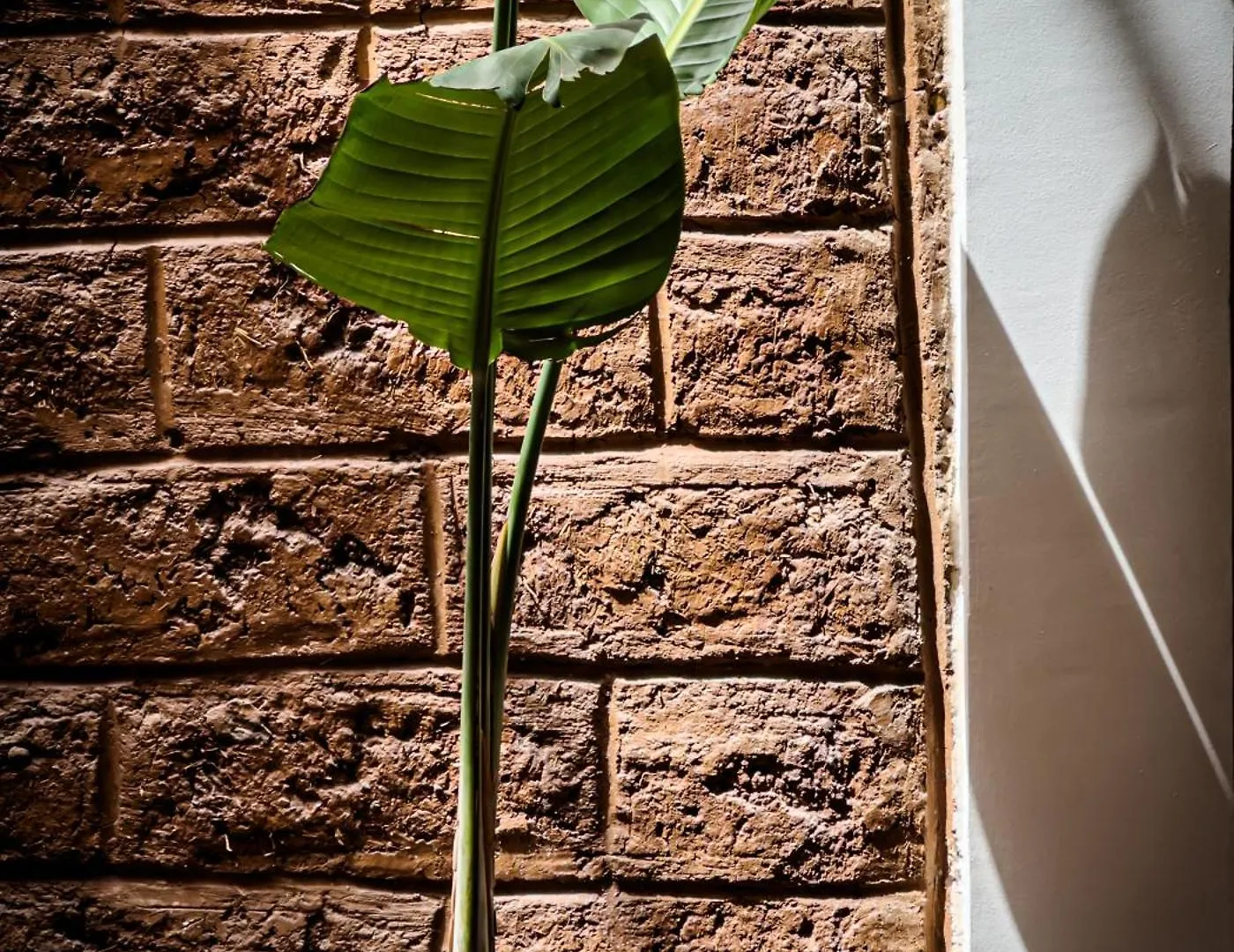 Riad & Spa Prive - La Perle D'Orane - Marrakech Marrakesh